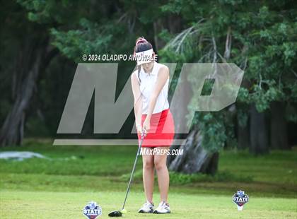 Thumbnail 1 in UIL Golf 2A Finals photogallery.