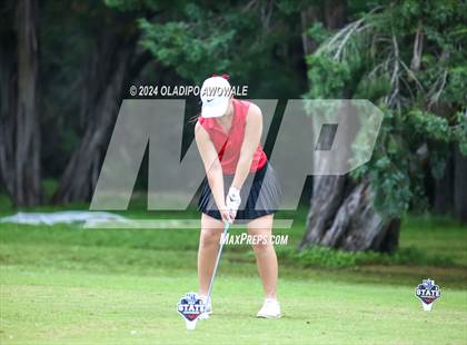 Thumbnail 2 in UIL Golf 2A Finals photogallery.