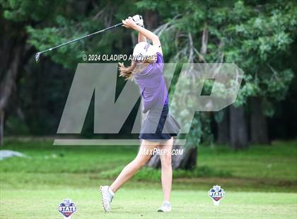 Thumbnail 2 in UIL Golf 2A Finals photogallery.