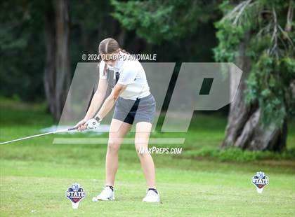 Thumbnail 3 in UIL Golf 2A Finals photogallery.
