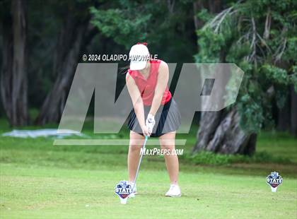 Thumbnail 3 in UIL Golf 2A Finals photogallery.