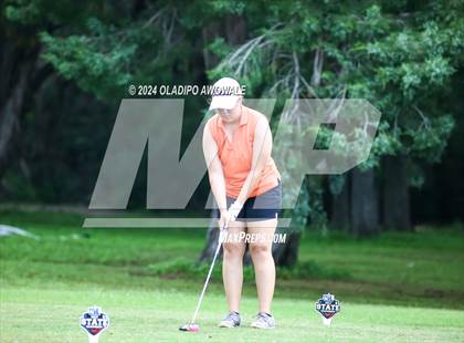 Thumbnail 1 in UIL Golf 2A Finals photogallery.