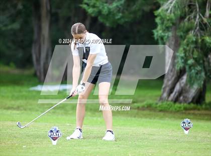 Thumbnail 2 in UIL Golf 2A Finals photogallery.
