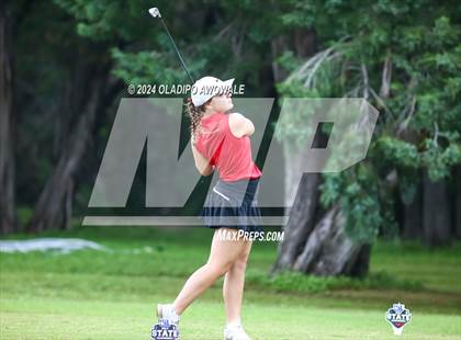 Thumbnail 1 in UIL Golf 2A Finals photogallery.