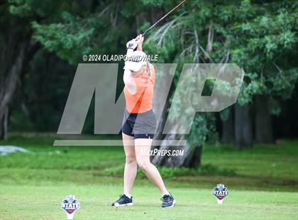 Thumbnail 3 in UIL Golf 2A Finals photogallery.