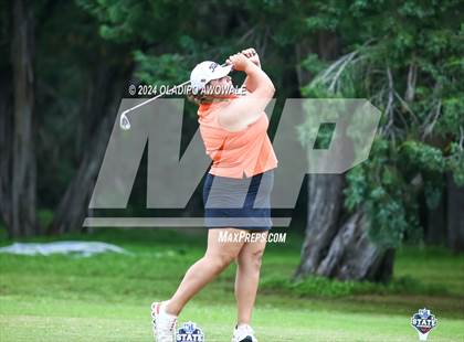 Thumbnail 3 in UIL Golf 2A Finals photogallery.