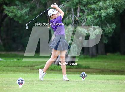 Thumbnail 1 in UIL Golf 2A Finals photogallery.
