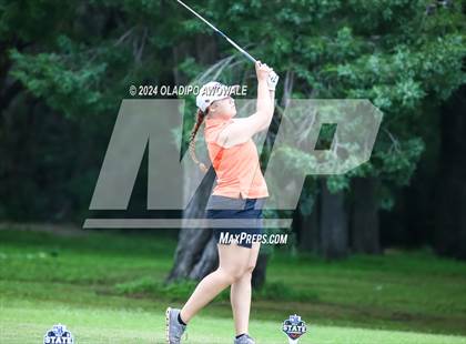 Thumbnail 3 in UIL Golf 2A Finals photogallery.
