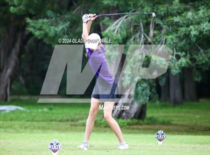 Thumbnail 1 in UIL Golf 2A Finals photogallery.