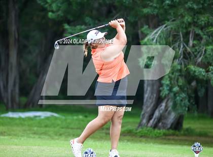 Thumbnail 2 in UIL Golf 2A Finals photogallery.