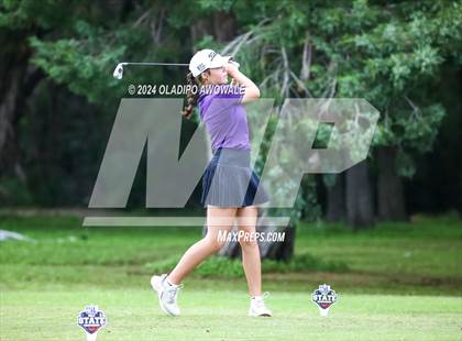 Thumbnail 2 in UIL Golf 2A Finals photogallery.