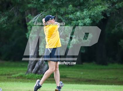 Thumbnail 2 in UIL Golf 2A Finals photogallery.