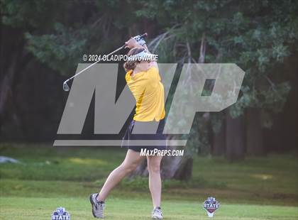 Thumbnail 1 in UIL Golf 2A Finals photogallery.