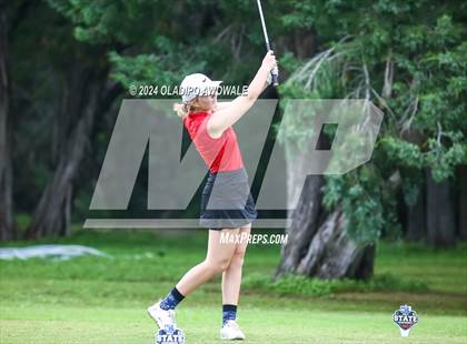 Thumbnail 3 in UIL Golf 2A Finals photogallery.