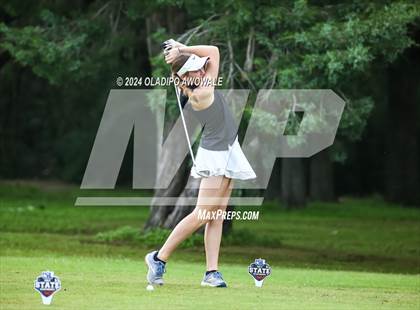 Thumbnail 1 in UIL Golf 2A Finals photogallery.