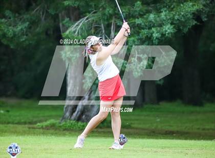Thumbnail 1 in UIL Golf 2A Finals photogallery.