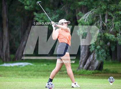 Thumbnail 1 in UIL Golf 2A Finals photogallery.