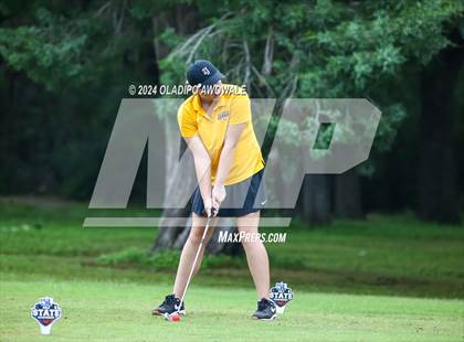 Thumbnail 2 in UIL Golf 2A Finals photogallery.