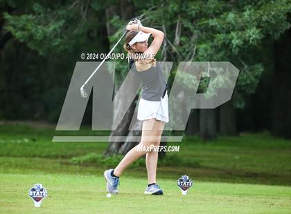 Thumbnail 3 in UIL Golf 2A Finals photogallery.