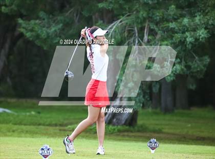 Thumbnail 1 in UIL Golf 2A Finals photogallery.