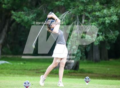 Thumbnail 2 in UIL Golf 2A Finals photogallery.