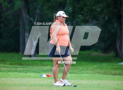 Thumbnail 3 in UIL Golf 2A Finals photogallery.