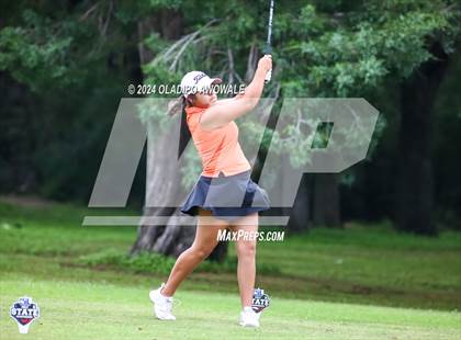 Thumbnail 3 in UIL Golf 2A Finals photogallery.