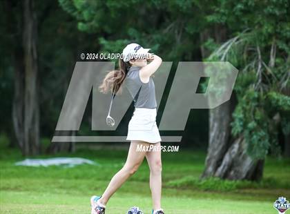 Thumbnail 2 in UIL Golf 2A Finals photogallery.