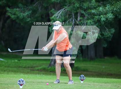 Thumbnail 2 in UIL Golf 2A Finals photogallery.