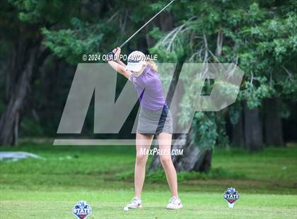 Thumbnail 3 in UIL Golf 2A Finals photogallery.