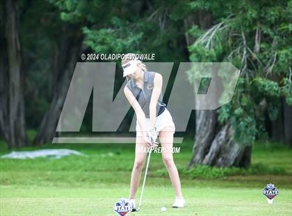 Thumbnail 1 in UIL Golf 2A Finals photogallery.