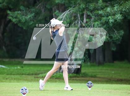 Thumbnail 2 in UIL Golf 2A Finals photogallery.