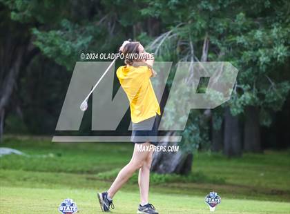 Thumbnail 3 in UIL Golf 2A Finals photogallery.