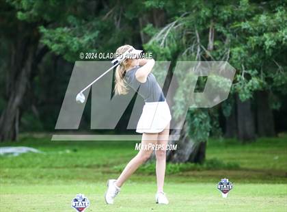 Thumbnail 3 in UIL Golf 2A Finals photogallery.