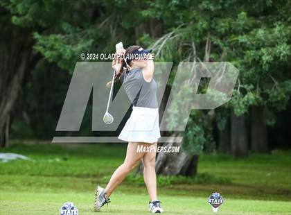 Thumbnail 1 in UIL Golf 2A Finals photogallery.