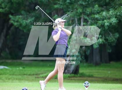 Thumbnail 3 in UIL Golf 2A Finals photogallery.