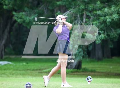 Thumbnail 2 in UIL Golf 2A Finals photogallery.