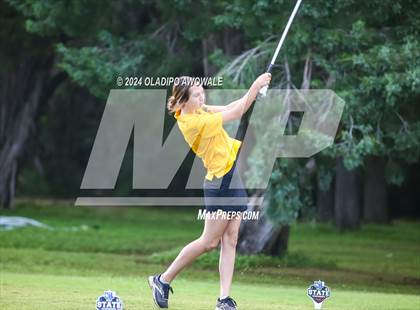 Thumbnail 3 in UIL Golf 2A Finals photogallery.