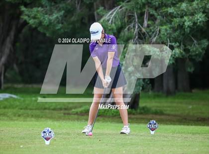 Thumbnail 2 in UIL Golf 2A Finals photogallery.