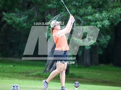 Thumbnail 2 in UIL Golf 2A Finals photogallery.