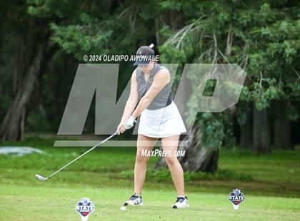 Thumbnail 1 in UIL Golf 2A Finals photogallery.