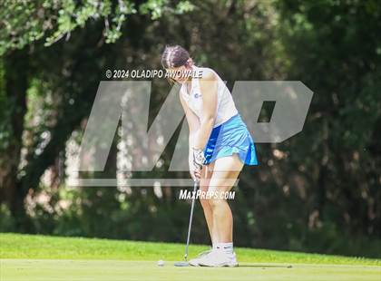 Thumbnail 2 in UIL Golf 2A Finals photogallery.