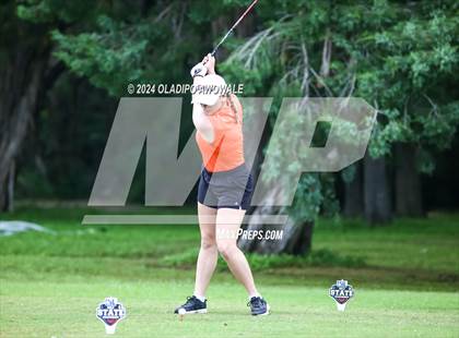 Thumbnail 1 in UIL Golf 2A Finals photogallery.
