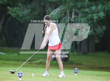 Thumbnail 2 in UIL Golf 2A Finals photogallery.