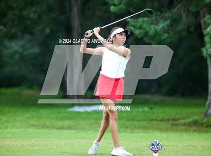 Thumbnail 1 in UIL Golf 2A Finals photogallery.