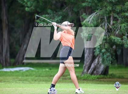 Thumbnail 3 in UIL Golf 2A Finals photogallery.