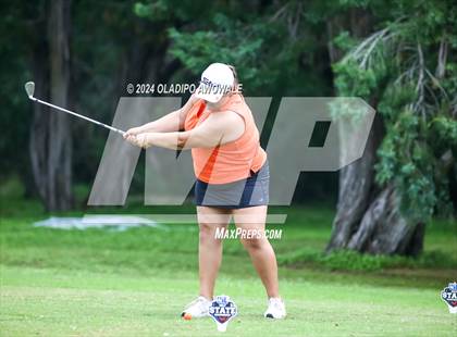 Thumbnail 1 in UIL Golf 2A Finals photogallery.