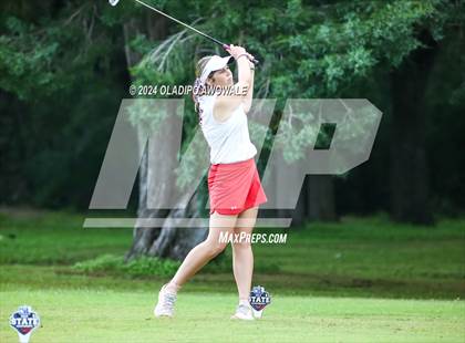 Thumbnail 3 in UIL Golf 2A Finals photogallery.