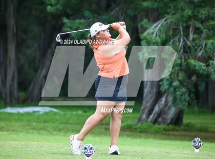 Thumbnail 1 in UIL Golf 2A Finals photogallery.