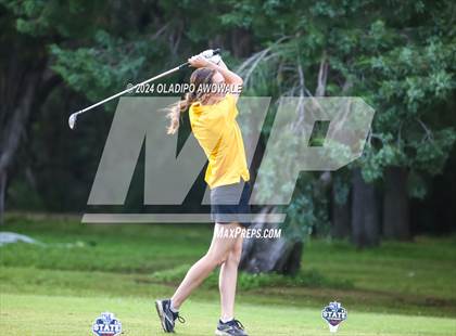 Thumbnail 1 in UIL Golf 2A Finals photogallery.